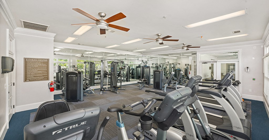 A gym with treadmills and exercise equipment.