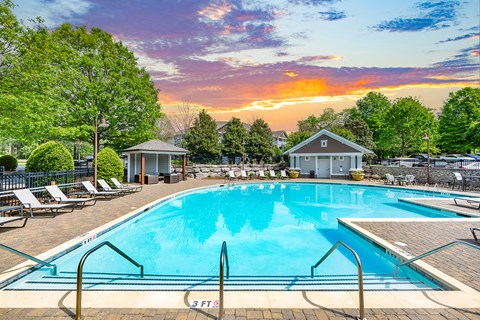 A large swimming pool surrounded by lounge chairs and trees.