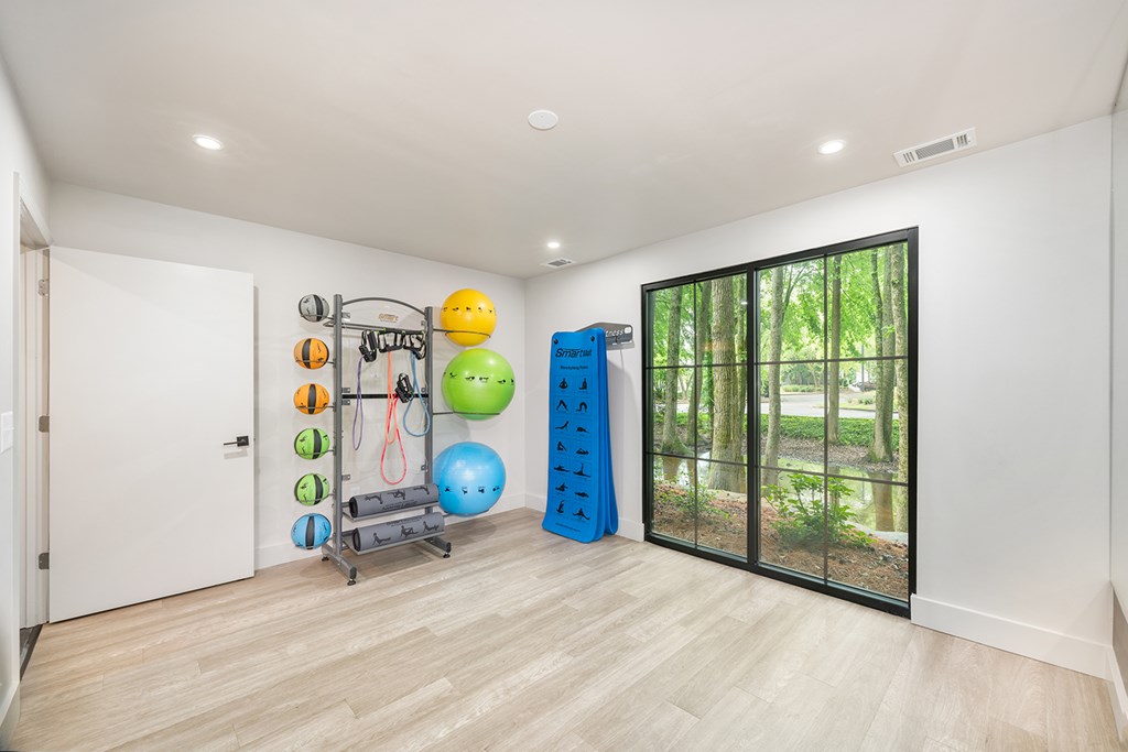 A room with a rack of exercise balls and a pull up bar.