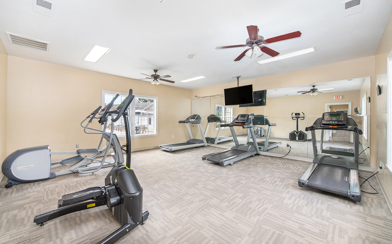 the gym has plenty of cardio equipment and a flat screen tv
