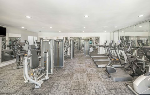 A spacious gym with a variety of equipment.