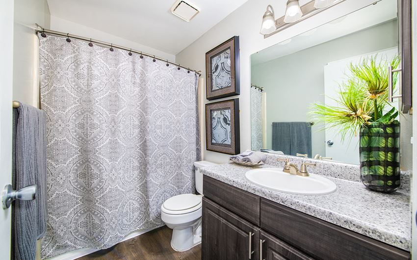 a bathroom with a shower and a sink and a toilet