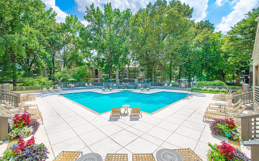 a swimming pool with chairs and trees around it