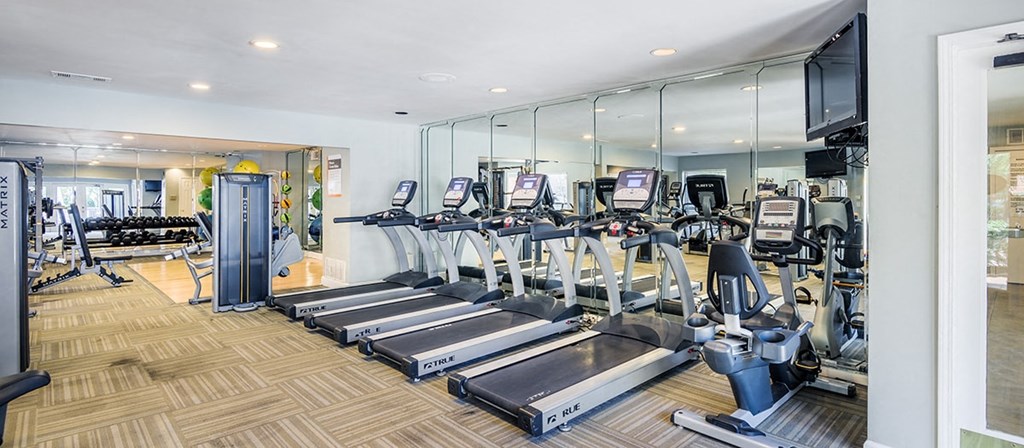 the gym is equipped with state of the art cardio equipment and televisions