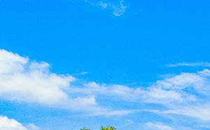 a flower garden in front of a sign