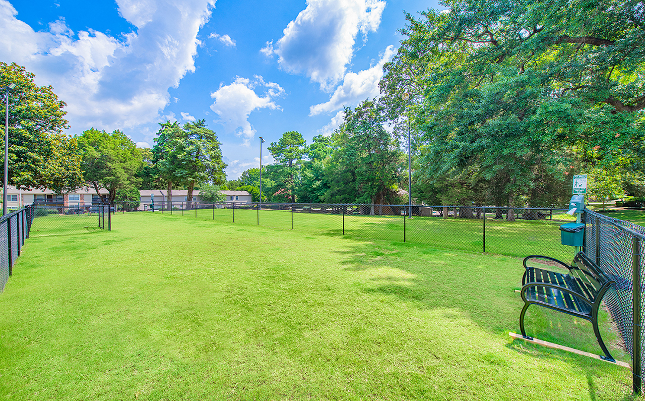 a park with a bench and a chain link fence