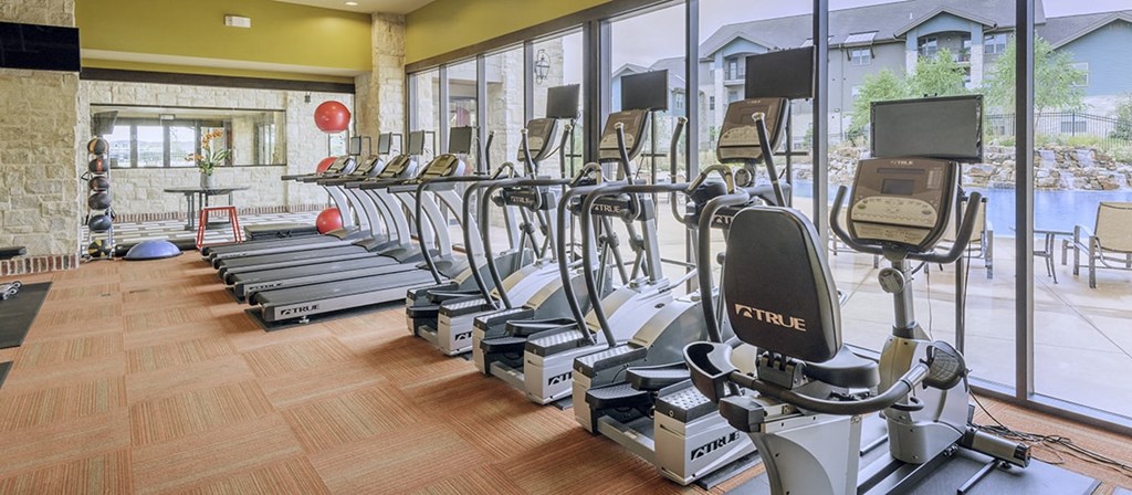 the gym is equipped with a variety of cardio equipment