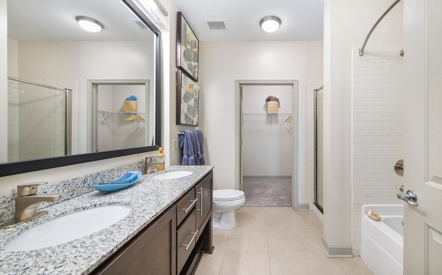 Charlotte At Midtown