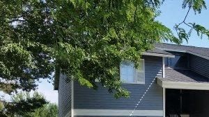 Towne Square Apartments 244 No Allumbaugh St Boise Id Rentcafe