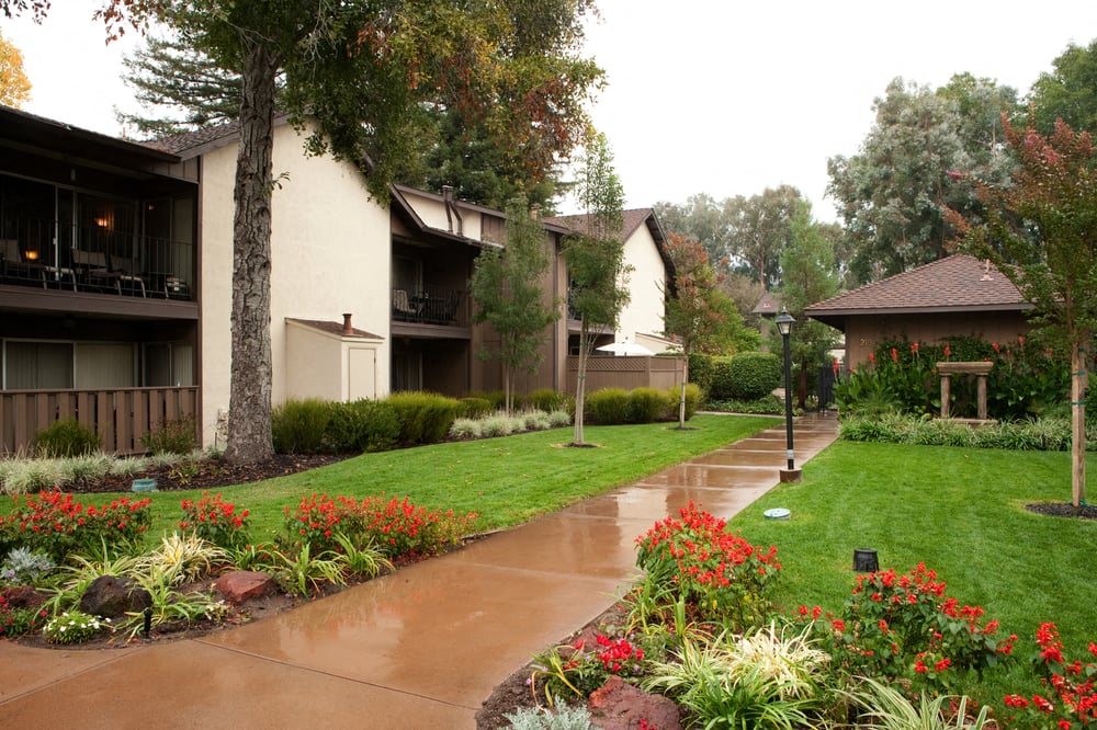 Lush flowers, foliage and grass line a sidewalk wet with rain. Trees and apartments on either side of pathway.