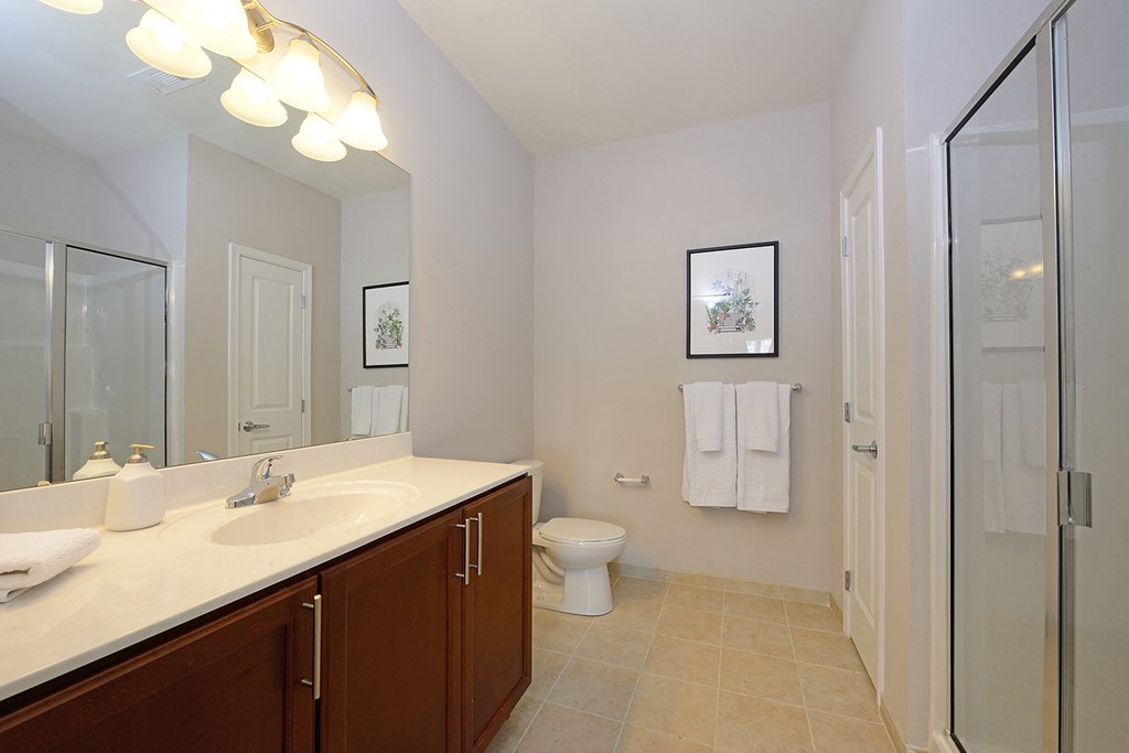 a bathroom with a sink and a toilet and a shower