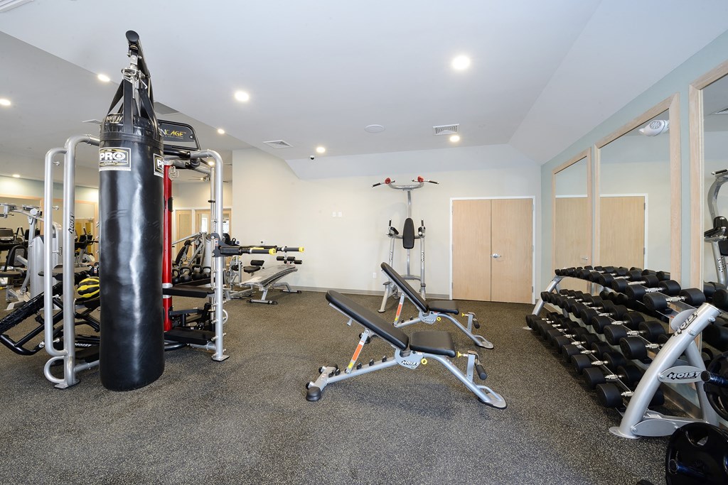 a gym with weights and cardio equipment and a punching bag