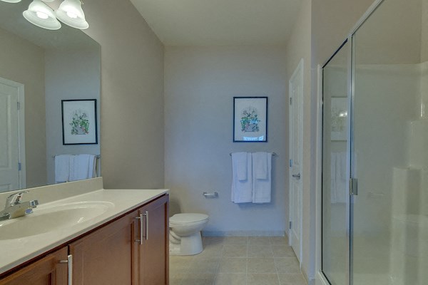 a bathroom with a sink and a shower and a toilet