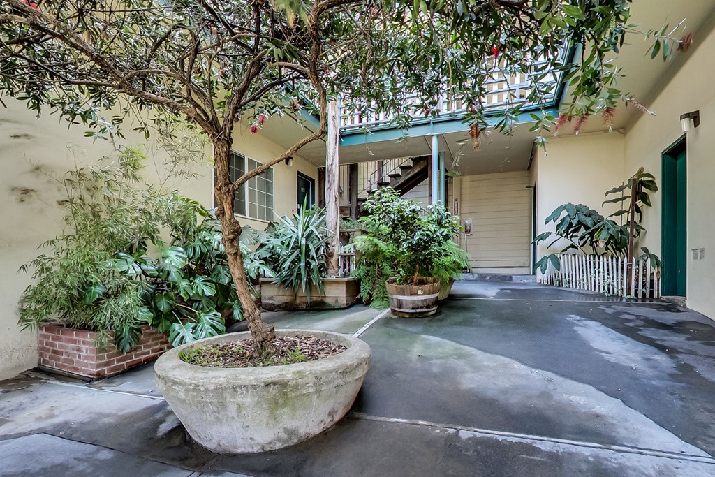 a courtyard with a tree and plants in front of a building