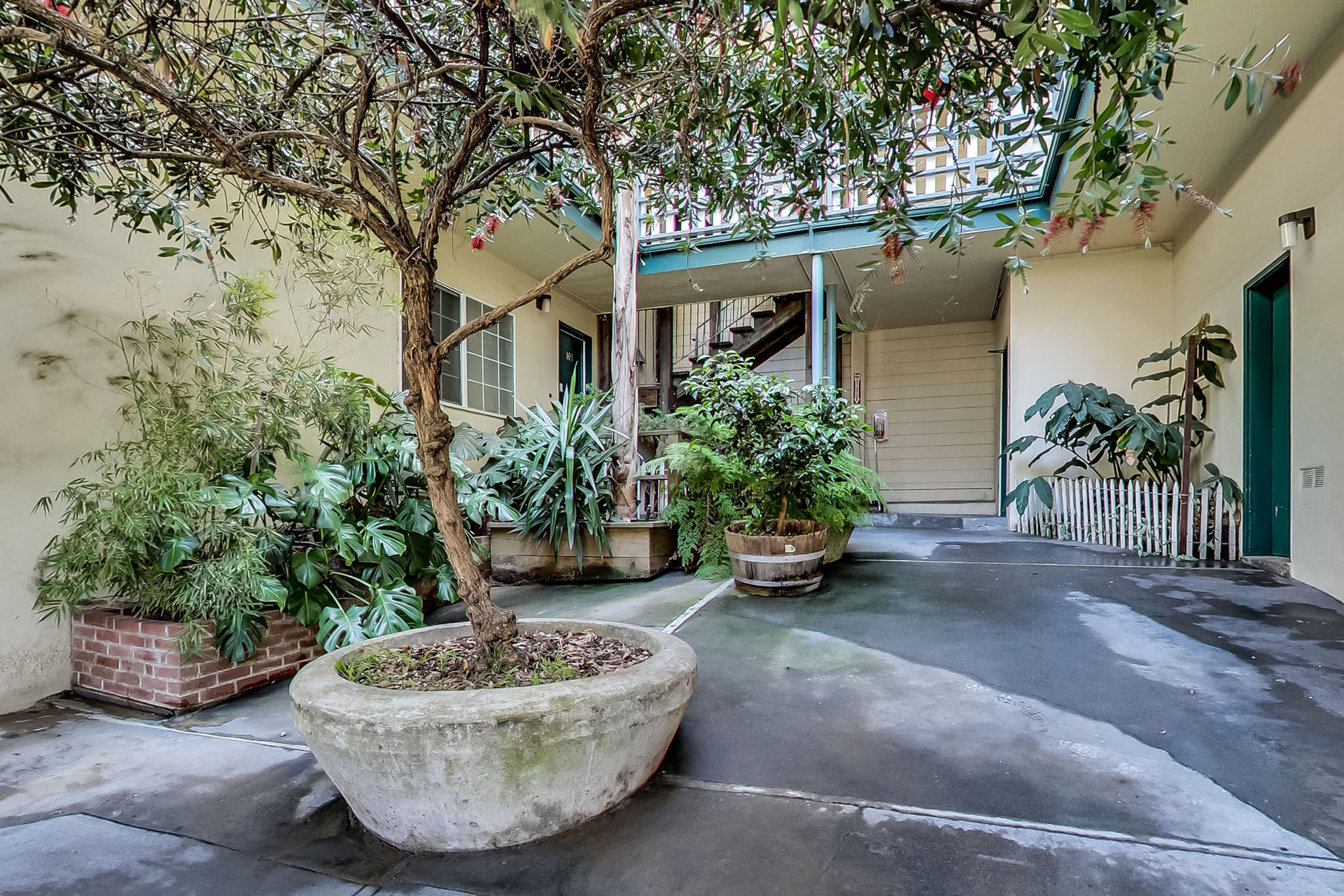 A courtyard with a tree in a concrete pot.