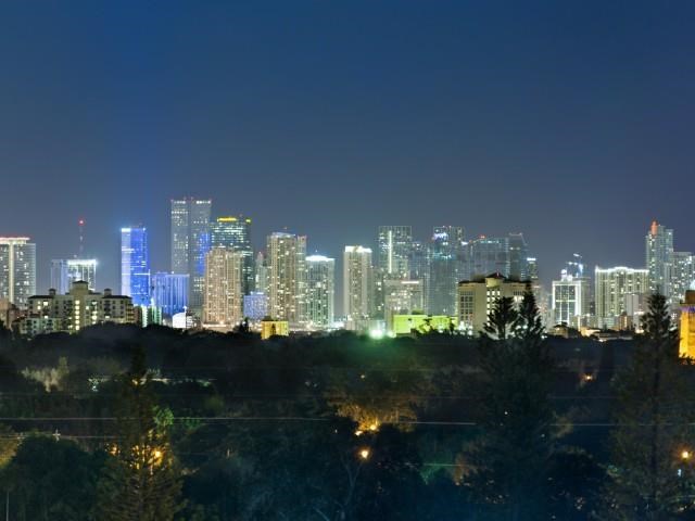 the city skyline at night with trees in the foreground