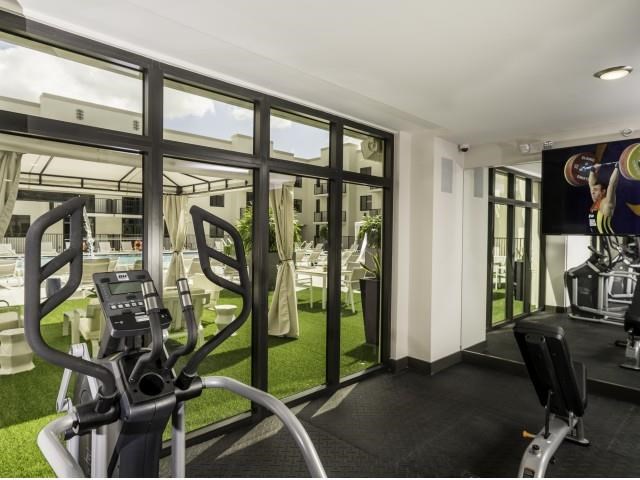 a gym with a view of the outside from the windows