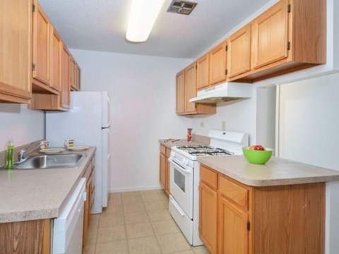 a kitchen with a stove and a sink and a refrigerator