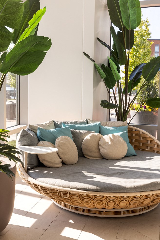 a living room with a rattan couch and a large plant