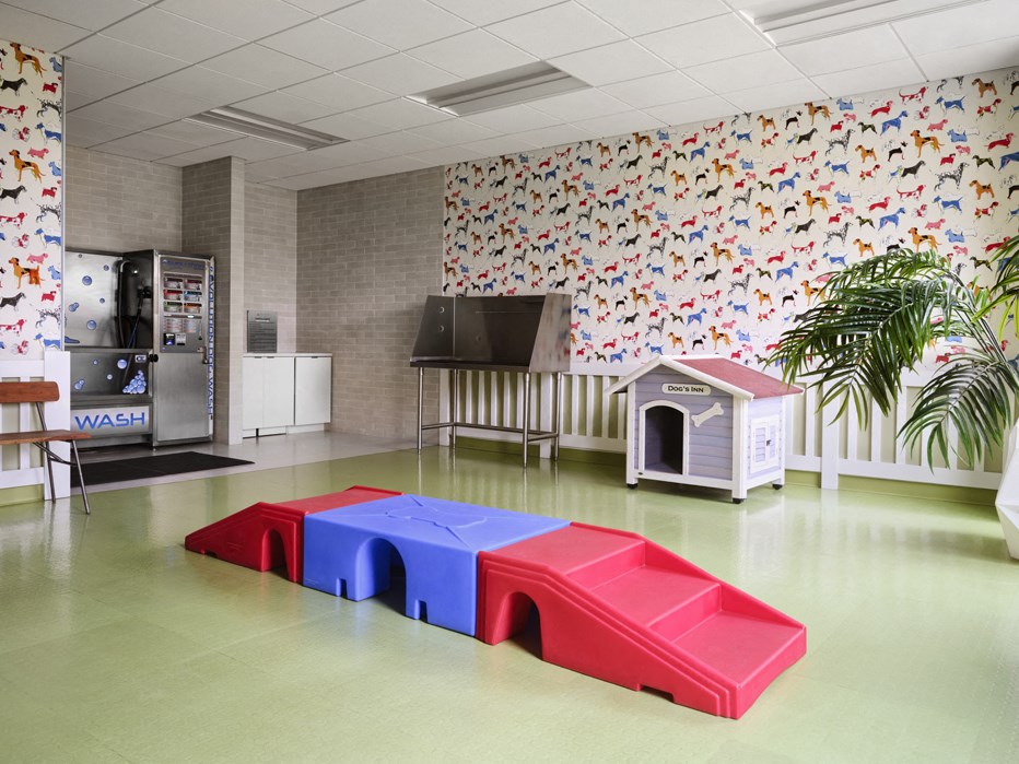 a childrens play room with a playhouse and a dog house