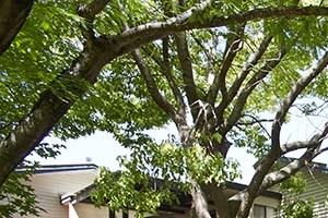 Apt building l Villa Creek Apartments in Santa Rosa CA