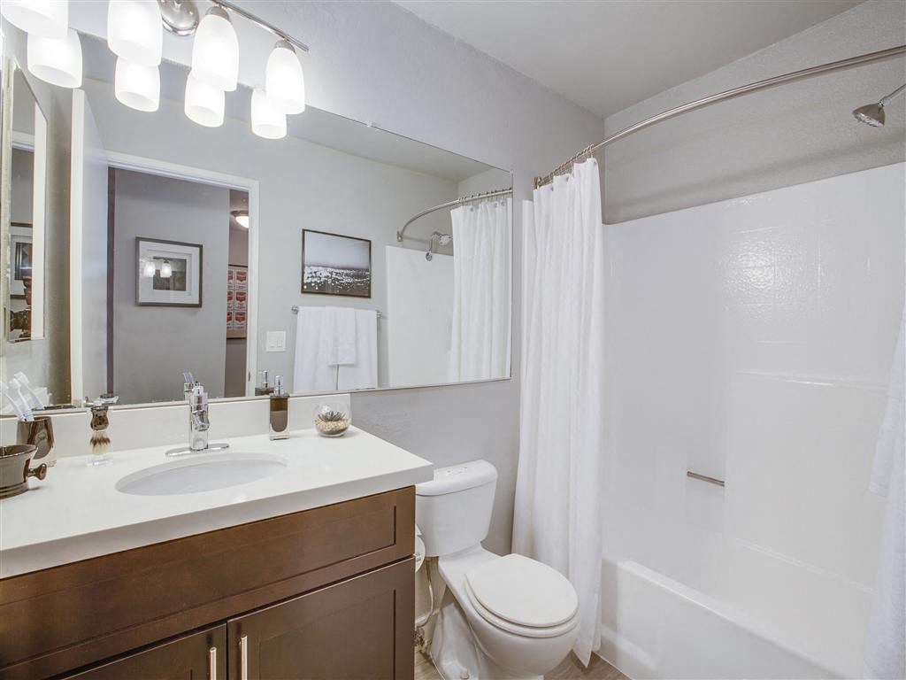 a bathroom with a sink and a toilet and a shower