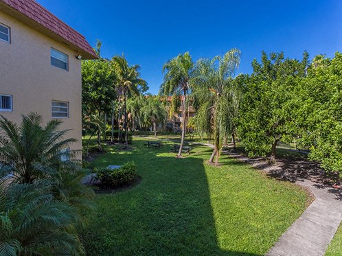 a yard with grass and palm trees next to a house