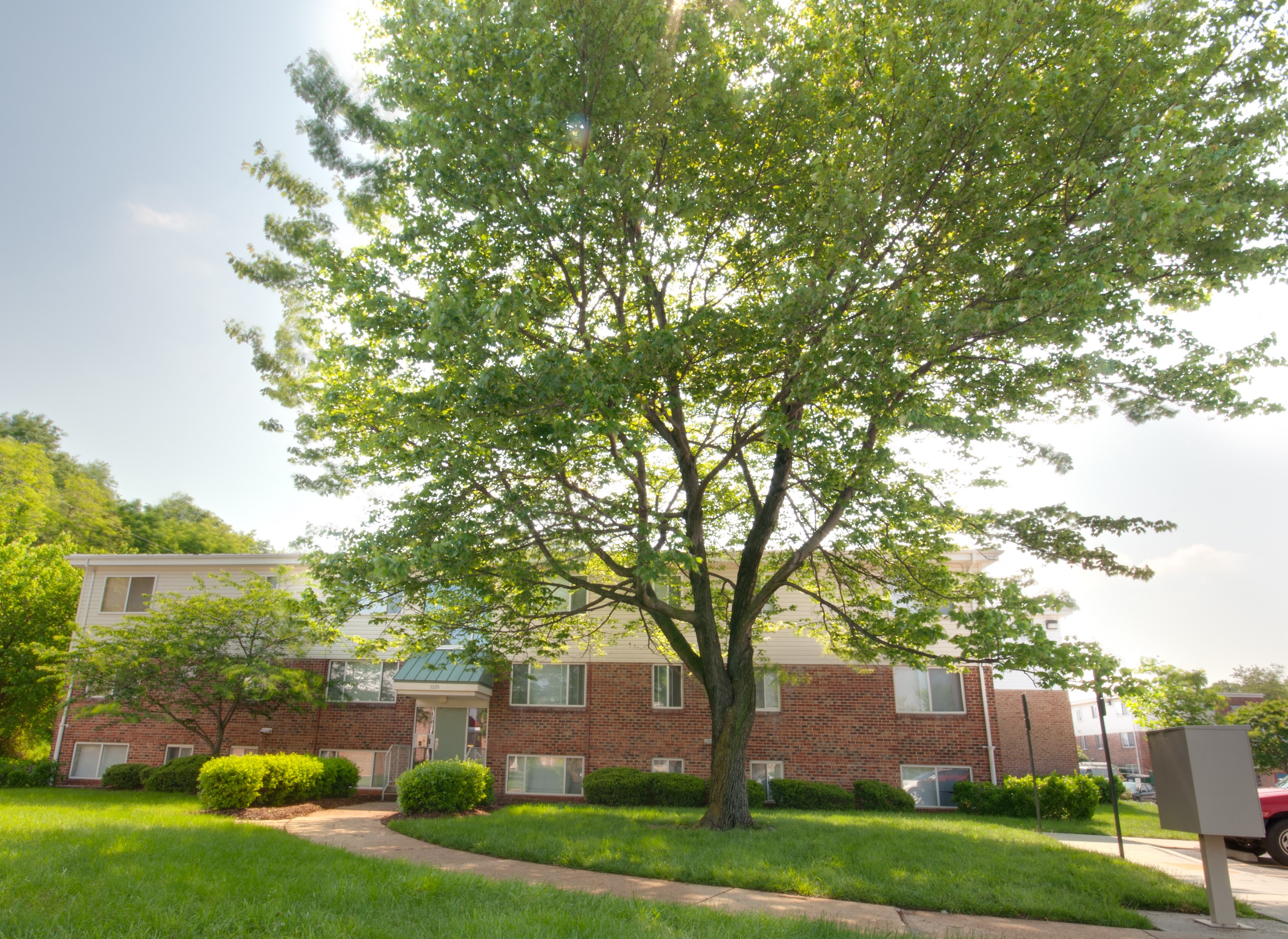 a tree in front of an apartment building
