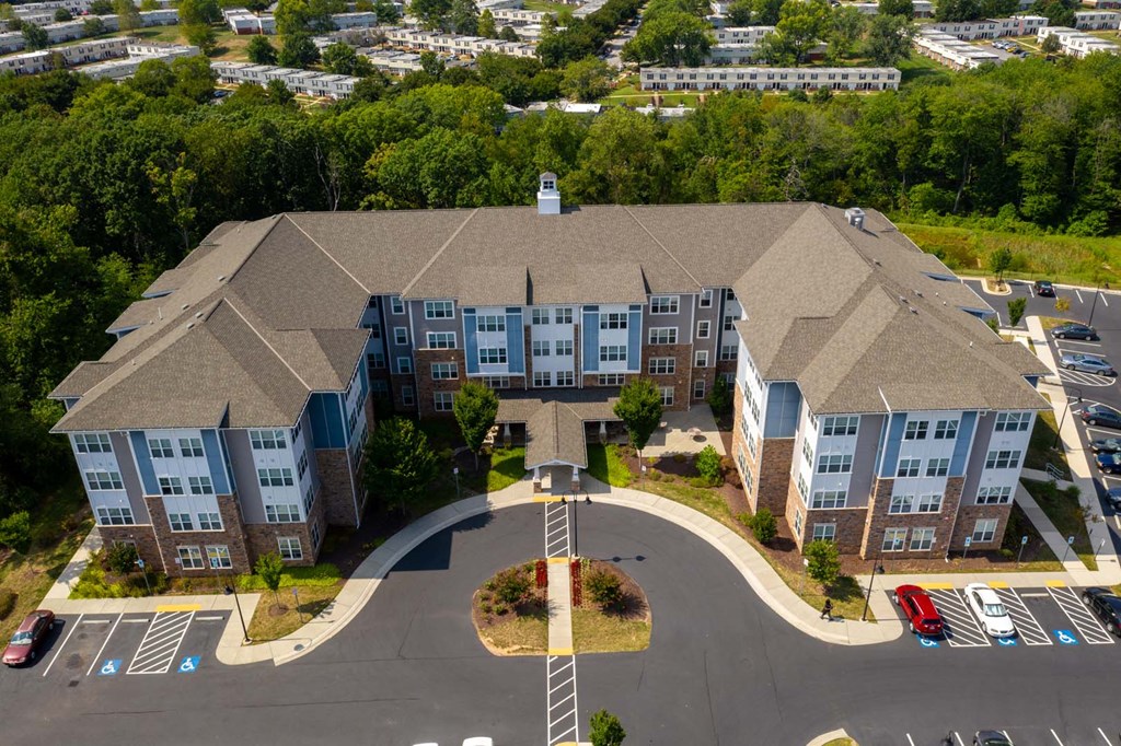 Greens at English Consul