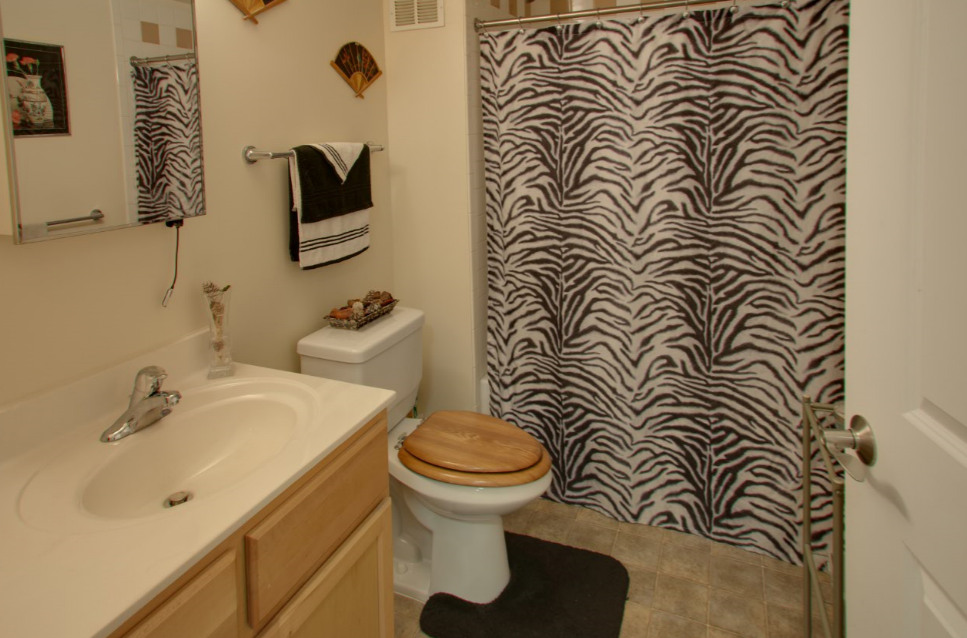 a bathroom with a shower and a toilet and a sink