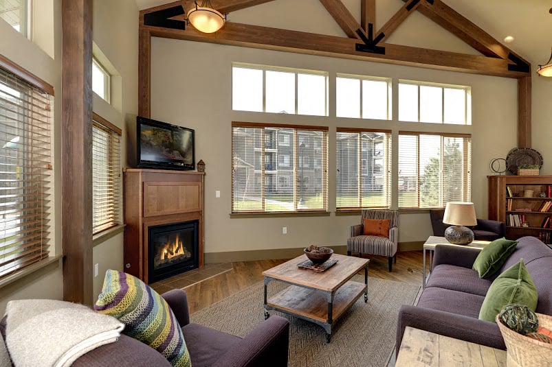 A living room with a fireplace and a television.