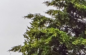 The Union Apartments In Federal Way Wa Federal Way Background 1