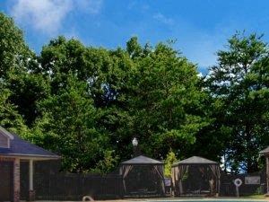 Apartments For Rent Near Eagle Nest Elementary School