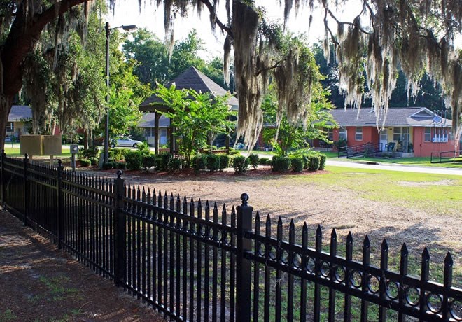 a black wrought iron fence surrounds a yard with moss covered trees