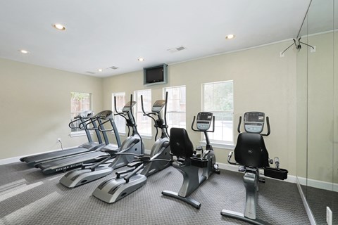 the gym is equipped with cardio equipment and windows