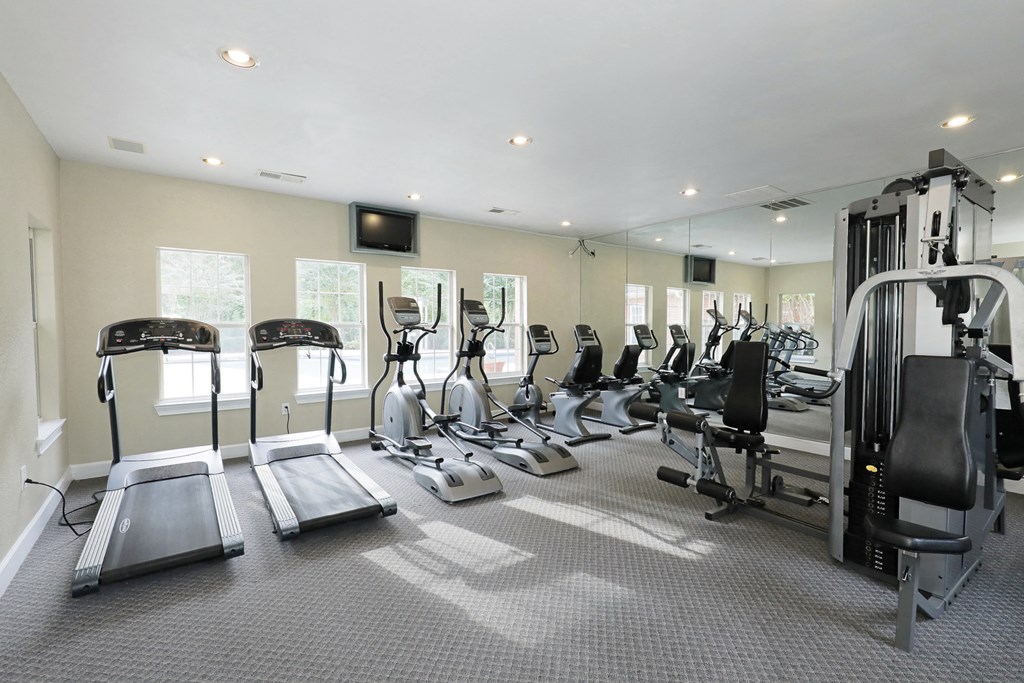 the gym is equipped with cardio equipment and treadmills