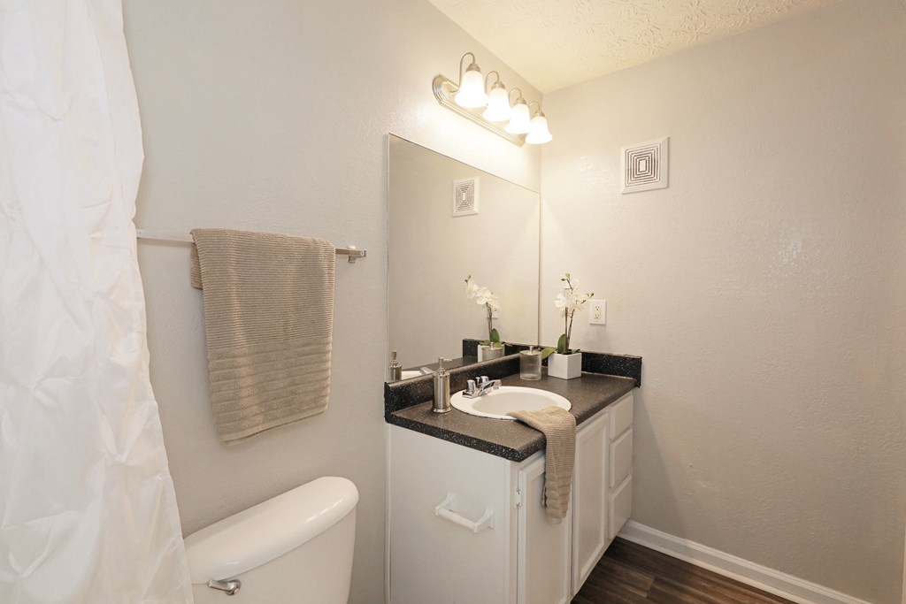 a bathroom with a sink and a mirror and a toilet