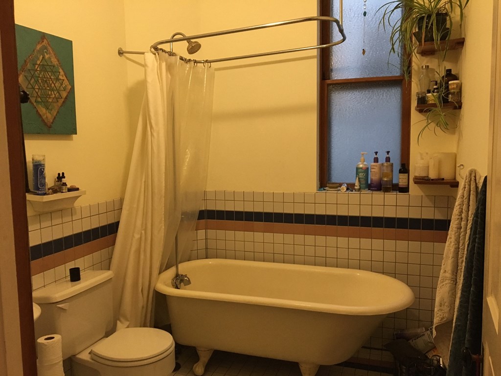 a bathroom with a tub and a toilet and a shower curtain