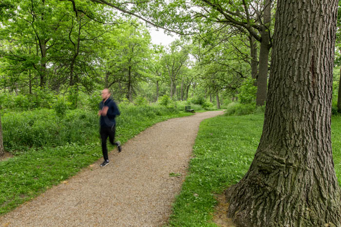 From Picnics to jogging, the Park is for Everyone