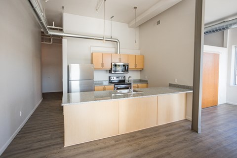 A kitchen with a counter and cabinets.