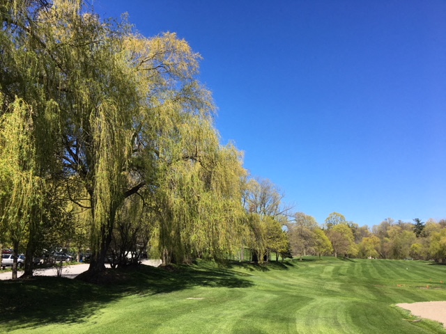 Flemingdon Park Golf Club