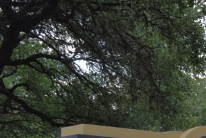 8916 Datapoint Dr 1-3 Beds Apartment for Rent - Photo Gallery 2