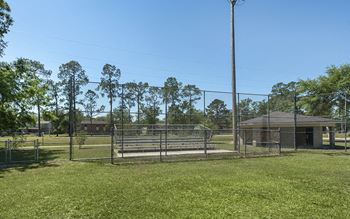 Dog park