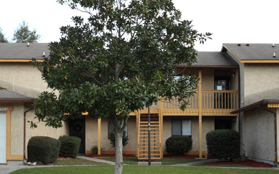 a tree in front of a building