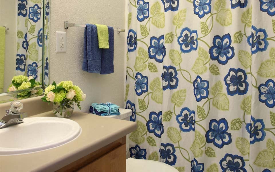a bathroom with a shower curtain and a sink