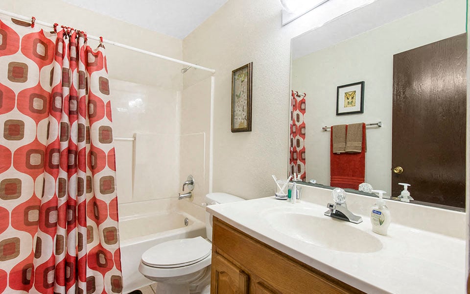 a bathroom with a sink and a toilet and a shower