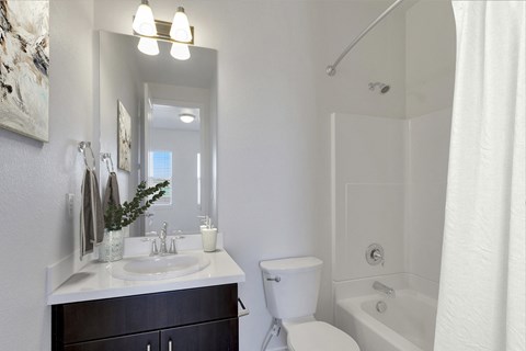 a bathroom with a sink and a toilet and a shower