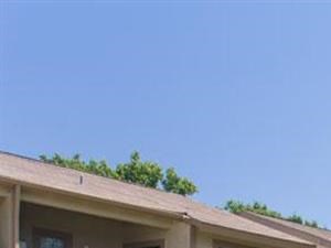 Manicured Landscaping