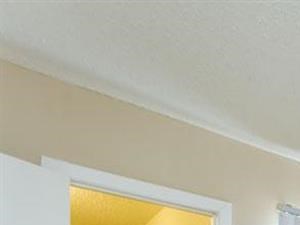 Loft Area