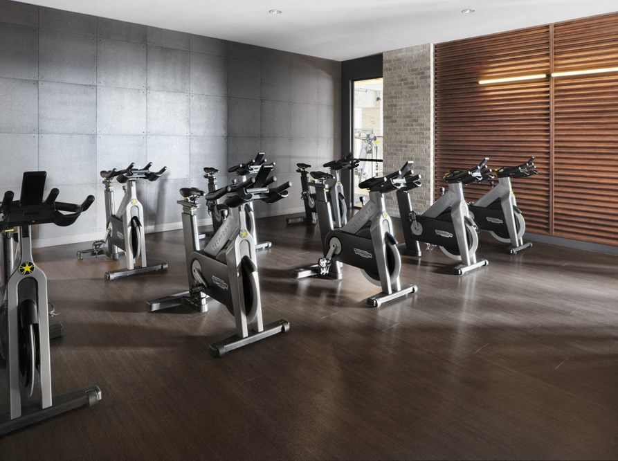 a row of treadmills and ellipticals in a fitness room